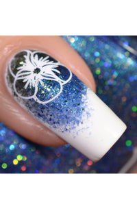 Collection 20 - Cordoza Nail Supply