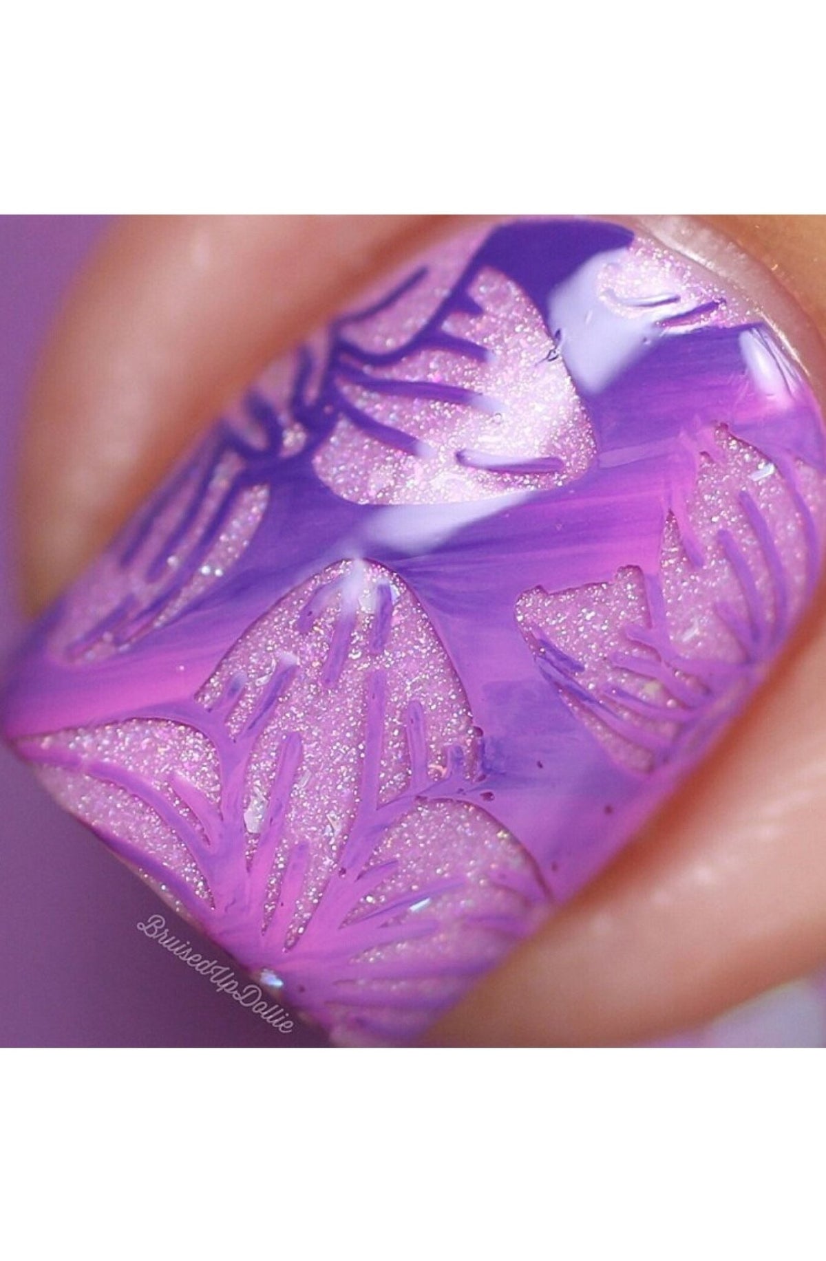 Collection 20 - Cordoza Nail Supply