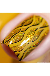 Collection 20 - Cordoza Nail Supply