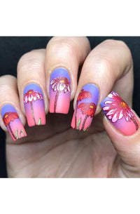 Collection 21 - Cordoza Nail Supply