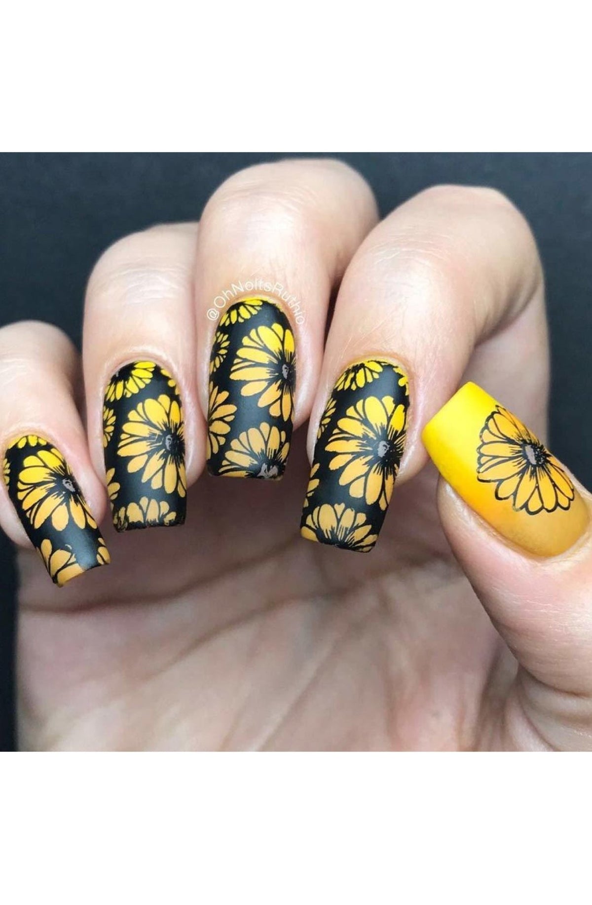 Collection 21 - Cordoza Nail Supply