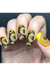 Collection 21 - Cordoza Nail Supply