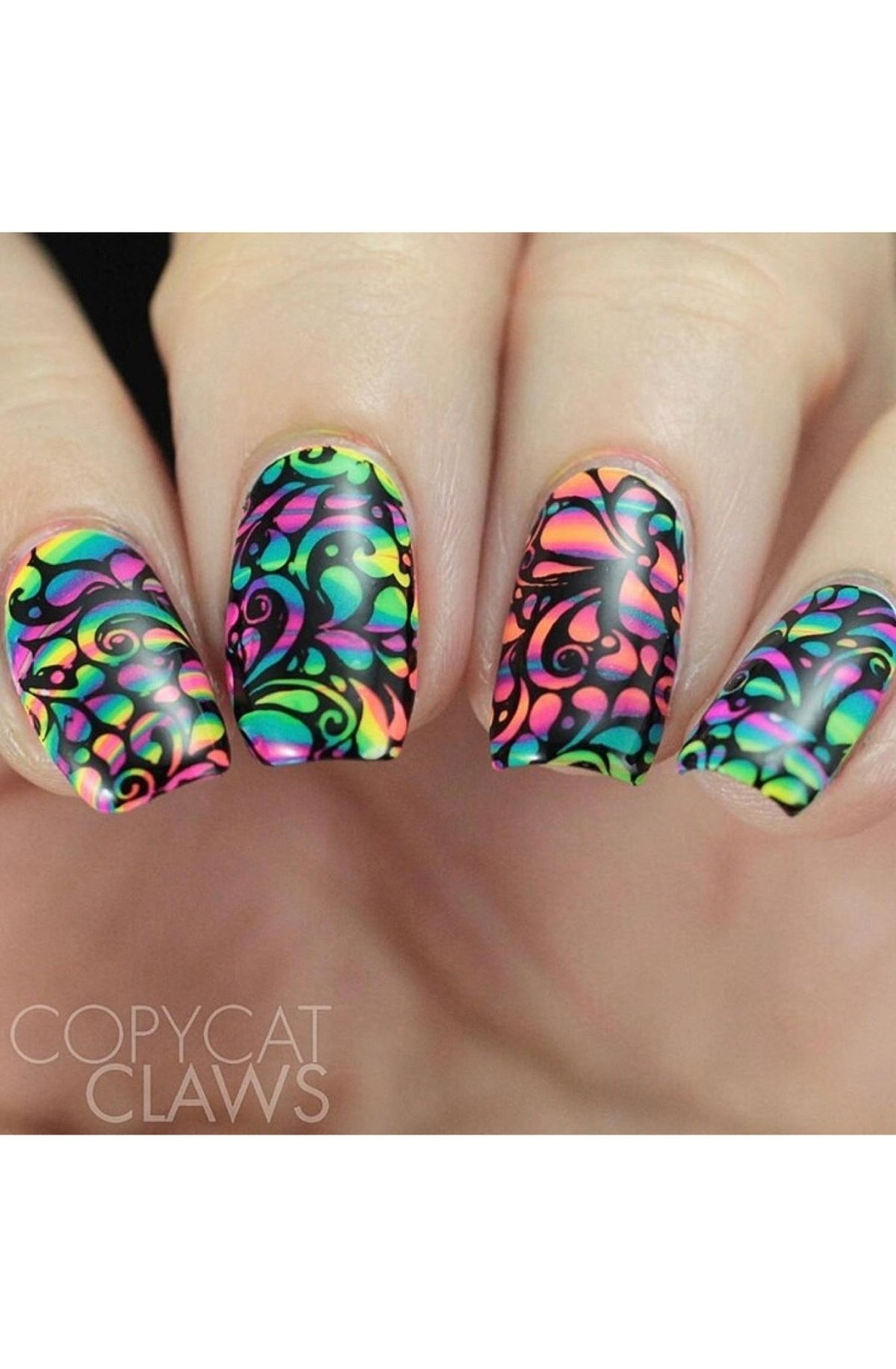 Collection 22 - Cordoza Nail Supply
