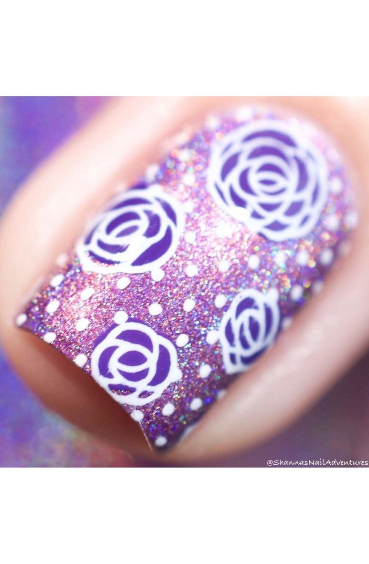Collection 22 - Cordoza Nail Supply