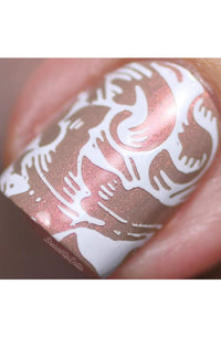 Collection 23 - Cordoza Nail Supply