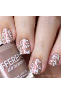 Collection 23 - Cordoza Nail Supply