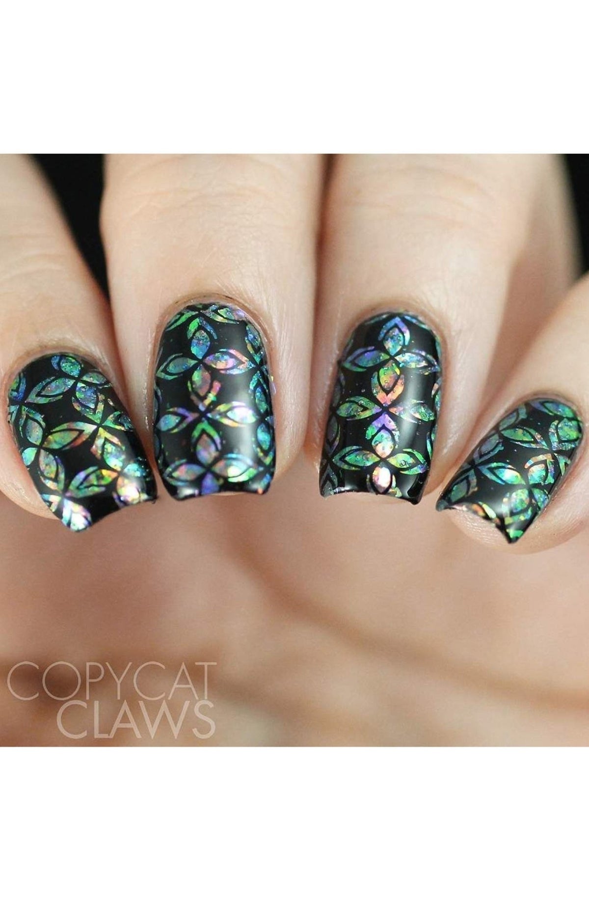 Collection 23 - Cordoza Nail Supply