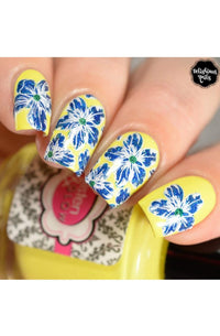 Collection 23 - Cordoza Nail Supply