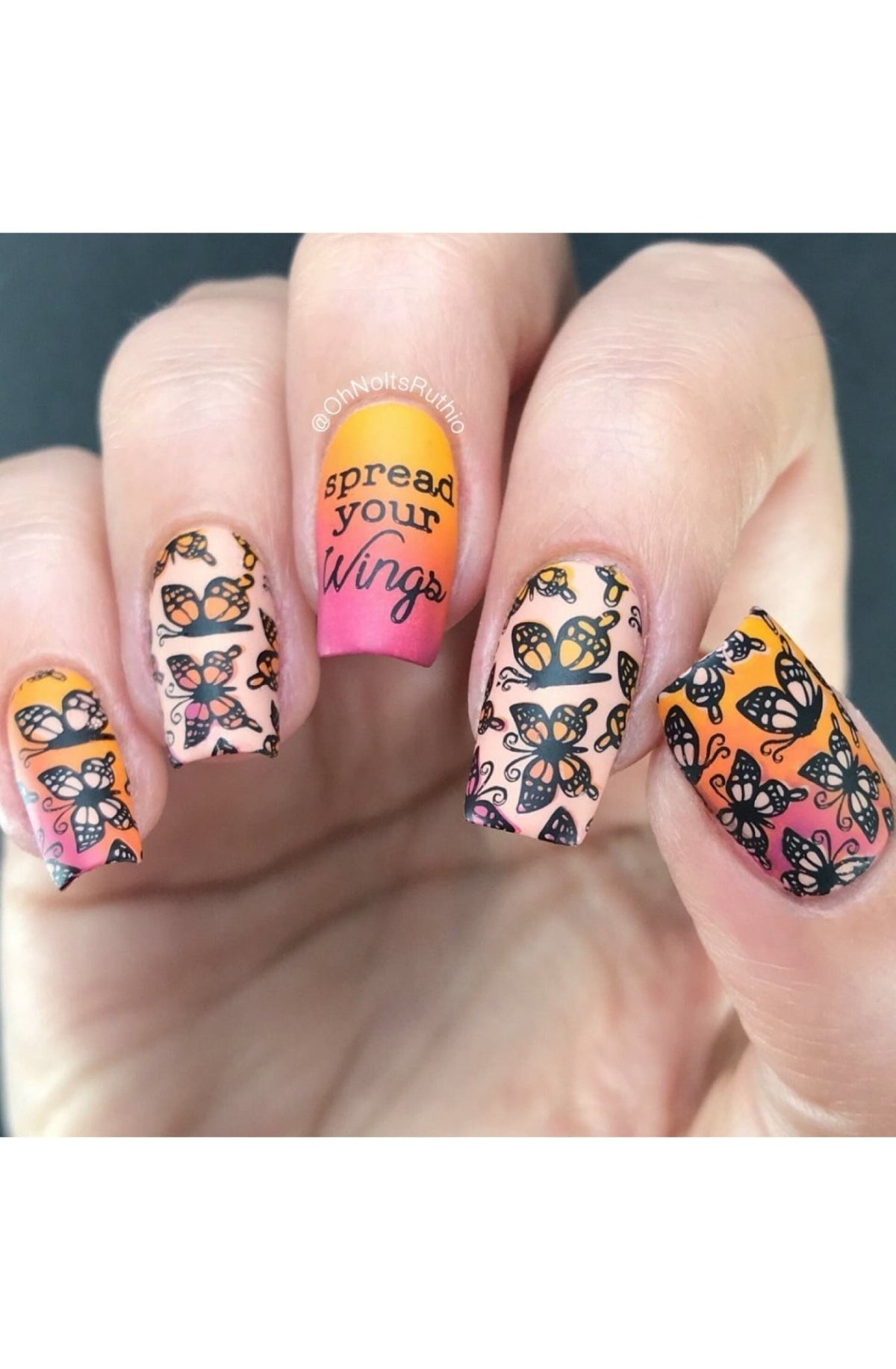 Collection 24 - Cordoza Nail Supply