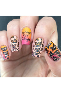 Collection 24 - Cordoza Nail Supply