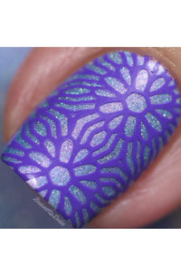 Collection 24 - Cordoza Nail Supply