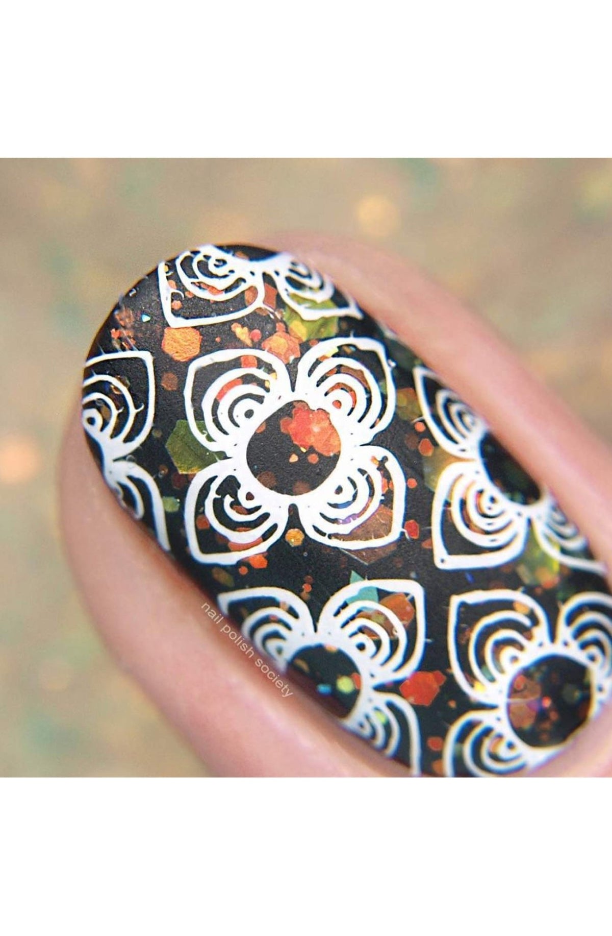 Collection 24 - Cordoza Nail Supply