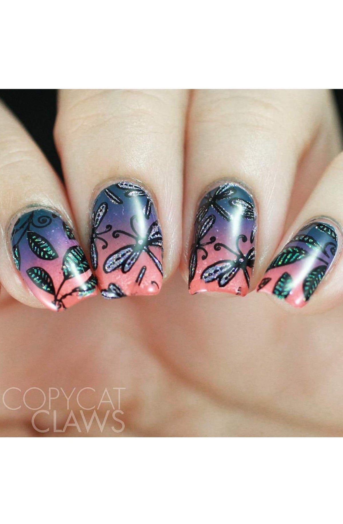 Collection 26 - Cordoza Nail Supply
