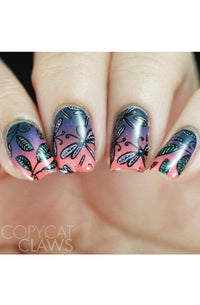 Collection 26 - Cordoza Nail Supply