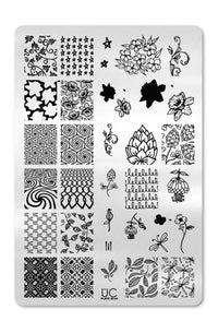 Collection 26 - Cordoza Nail Supply