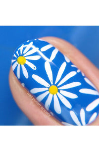 Collection 26 - Cordoza Nail Supply
