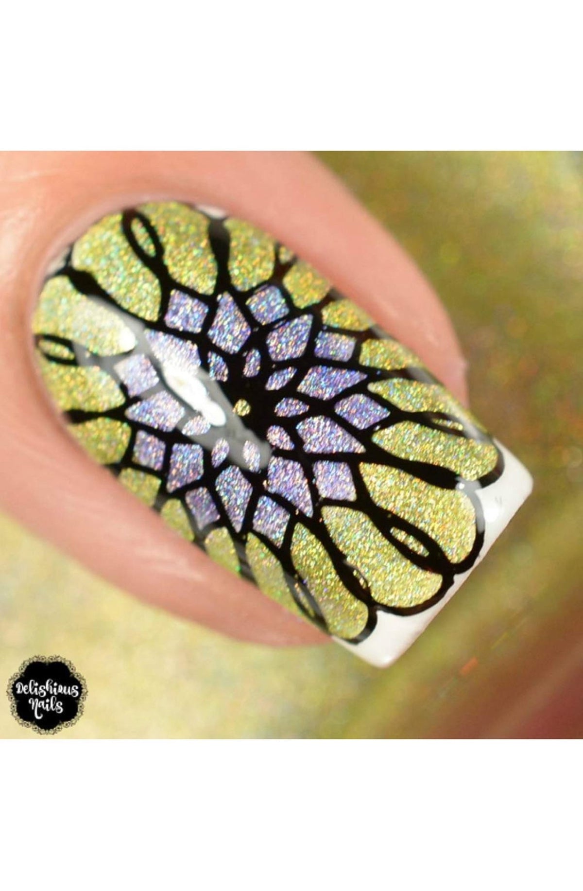 Collection 26 - Cordoza Nail Supply