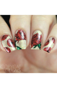 Collection 26 - Cordoza Nail Supply