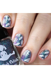 Collection 26 - Cordoza Nail Supply