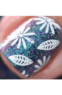Collection 26 - Cordoza Nail Supply