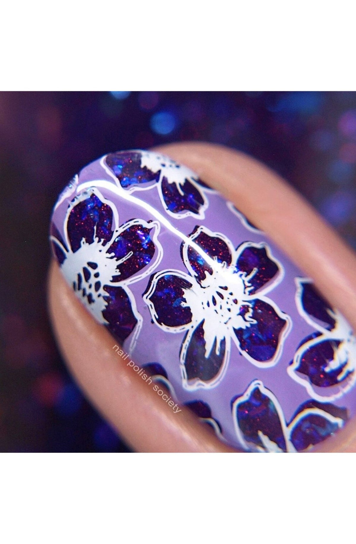 Collection 27 - Cordoza Nail Supply
