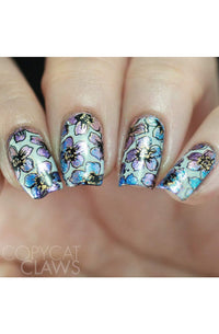 Collection 27 - Cordoza Nail Supply