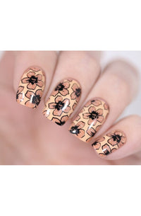 Collection 27 - Cordoza Nail Supply
