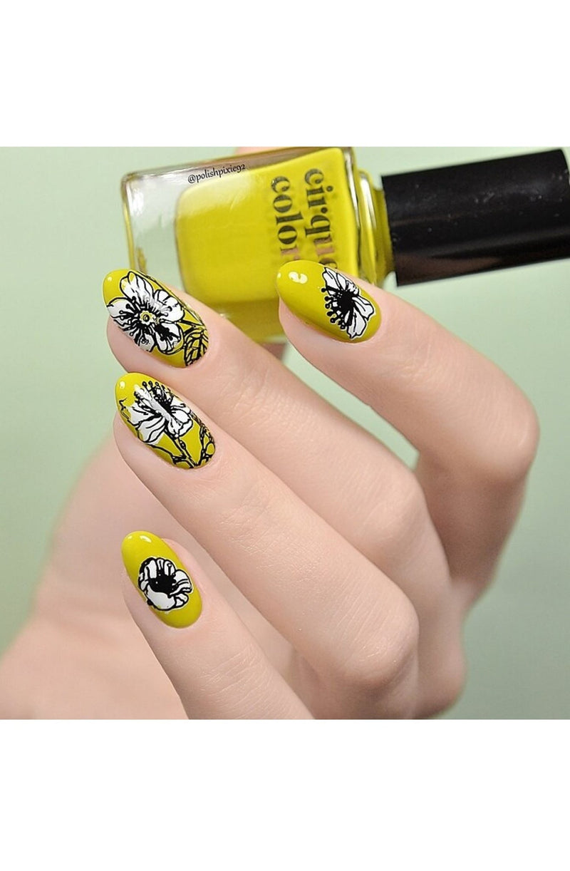 Collection 28 - Cordoza Nail Supply