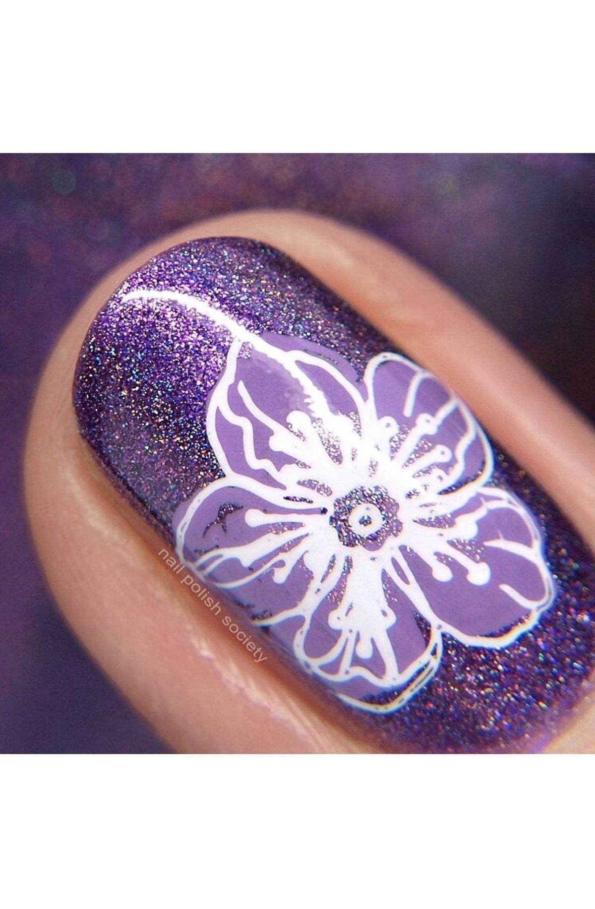 Collection 28 - Cordoza Nail Supply