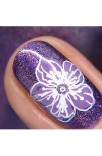 Collection 28 - Cordoza Nail Supply