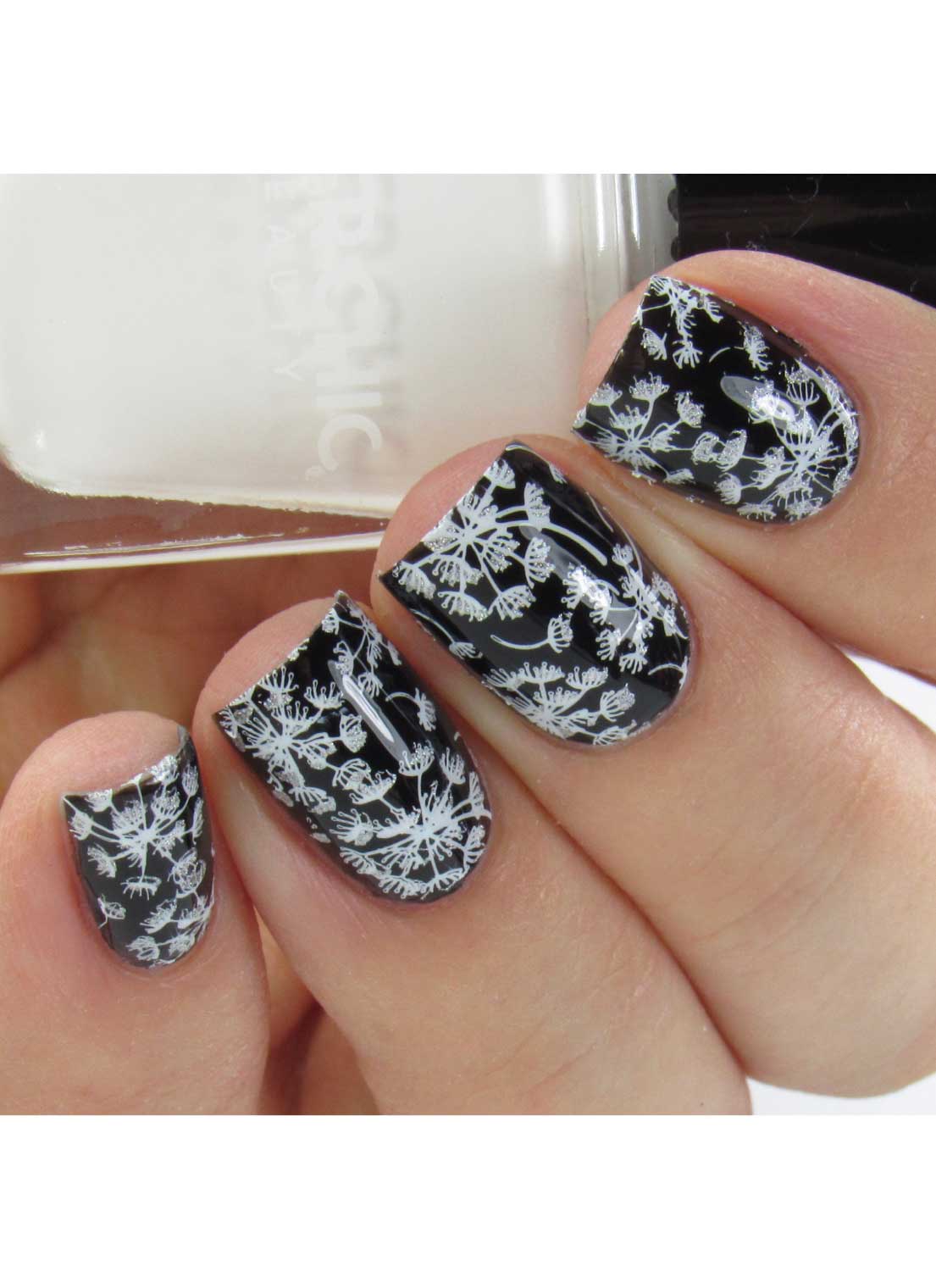 Collection 29 - Cordoza Nail Supply