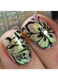 Collection 29 - Cordoza Nail Supply