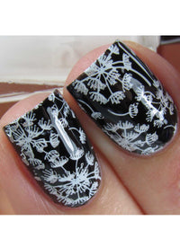 Collection 29 - Cordoza Nail Supply