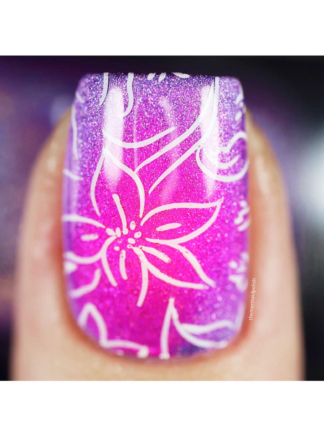 Collection 29 - Cordoza Nail Supply