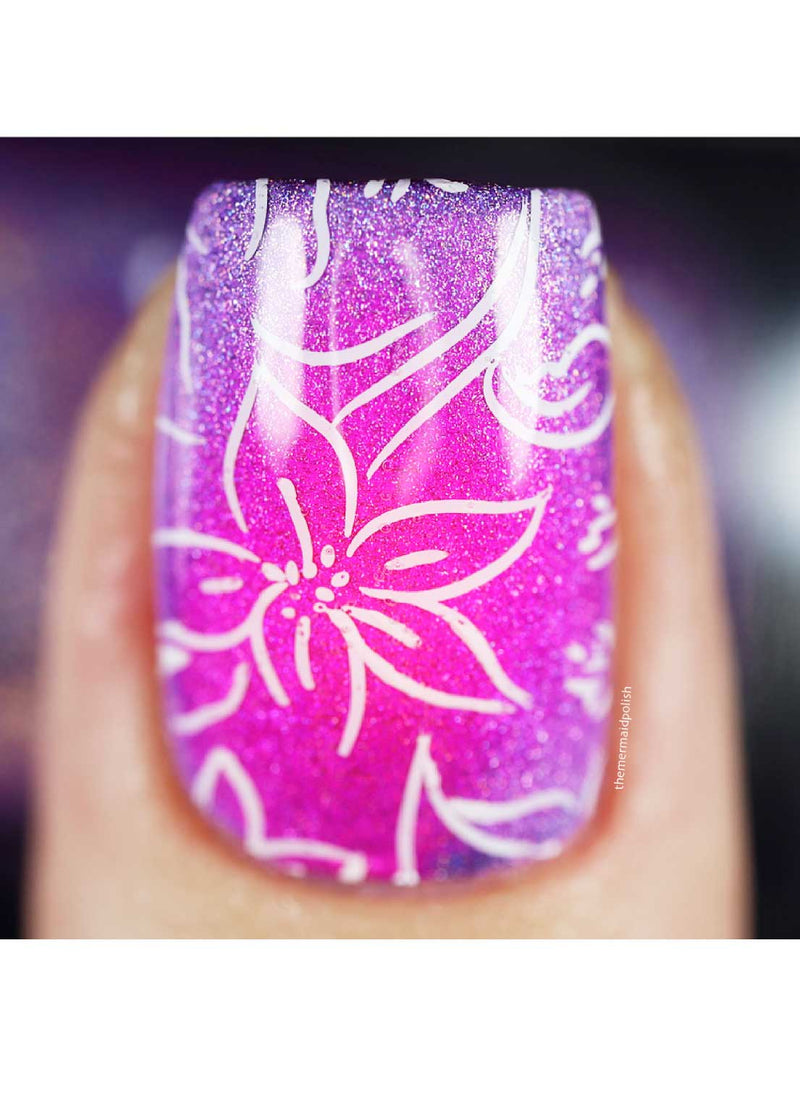 Collection 29 - Cordoza Nail Supply