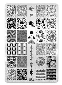 Collection 29 - Cordoza Nail Supply