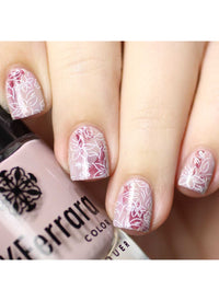 Collection 29 - Cordoza Nail Supply