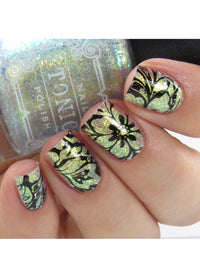 Collection 29 - Cordoza Nail Supply