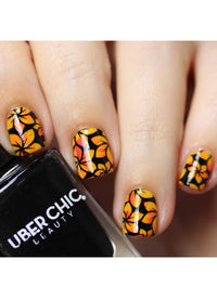 Collection 29 - Cordoza Nail Supply