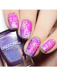 Collection 29 - Cordoza Nail Supply