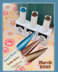 Cordoza Polish Party: Monthly Gel Polish Subscription - Cordoza Nail Supply