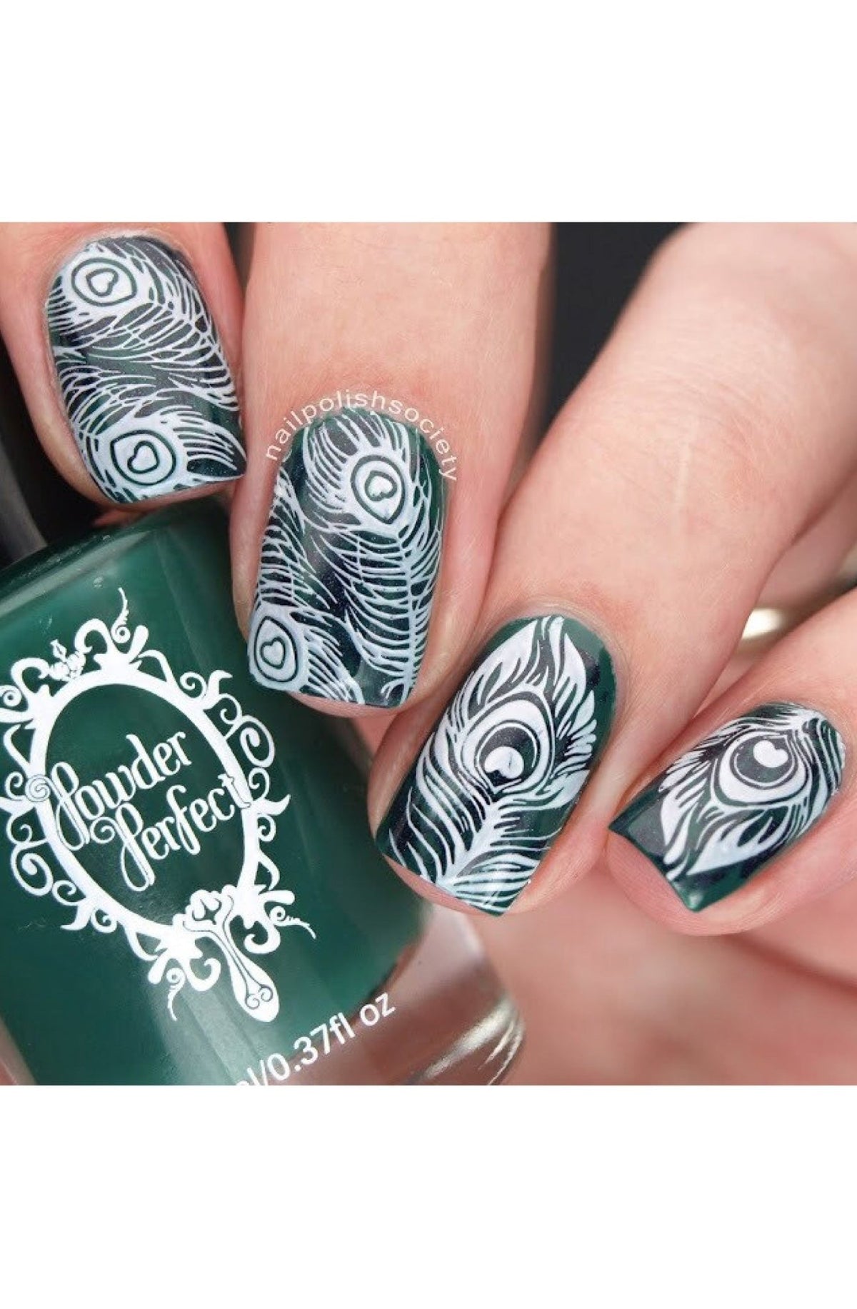 Fabulous Feathers - Cordoza Nail Supply