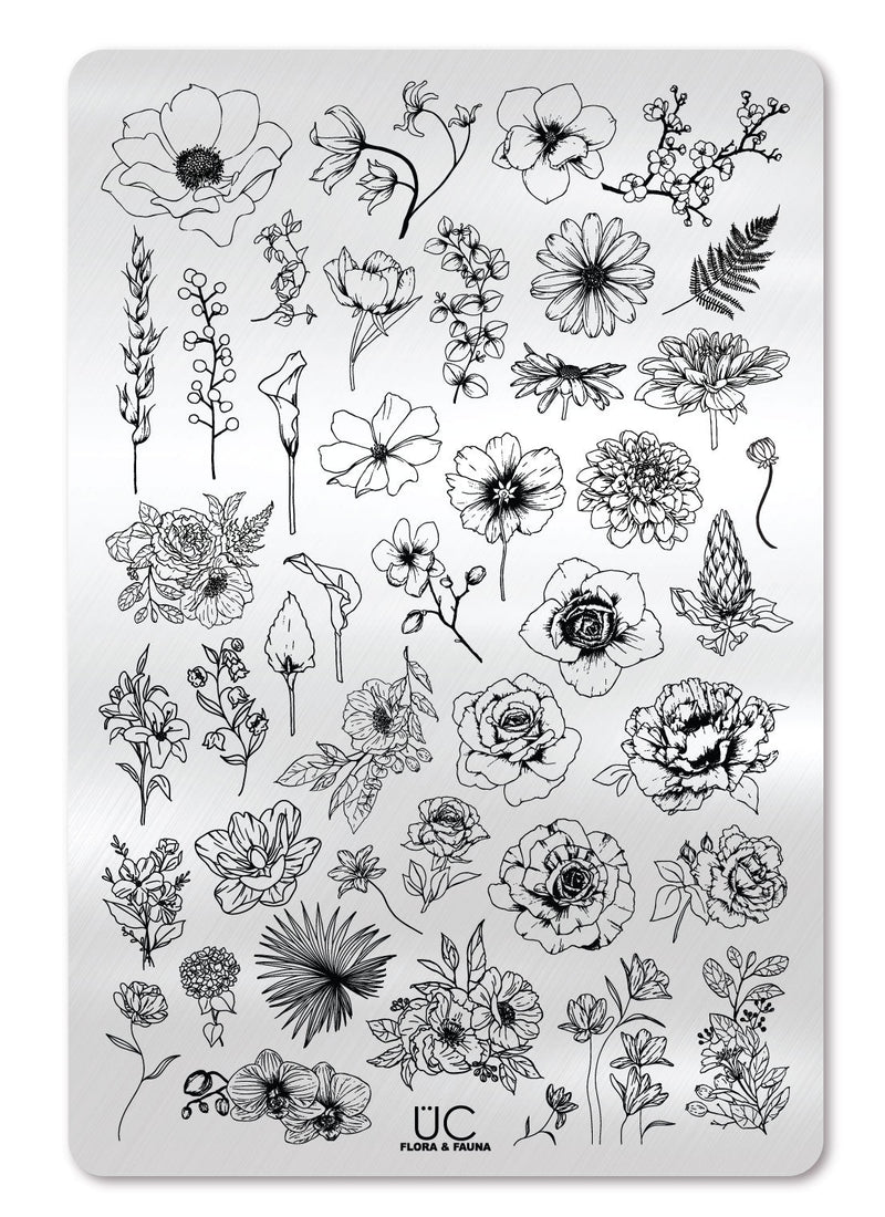 Flora & Fauna - Cordoza Nail Supply