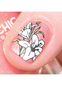 Flora & Fauna - Cordoza Nail Supply