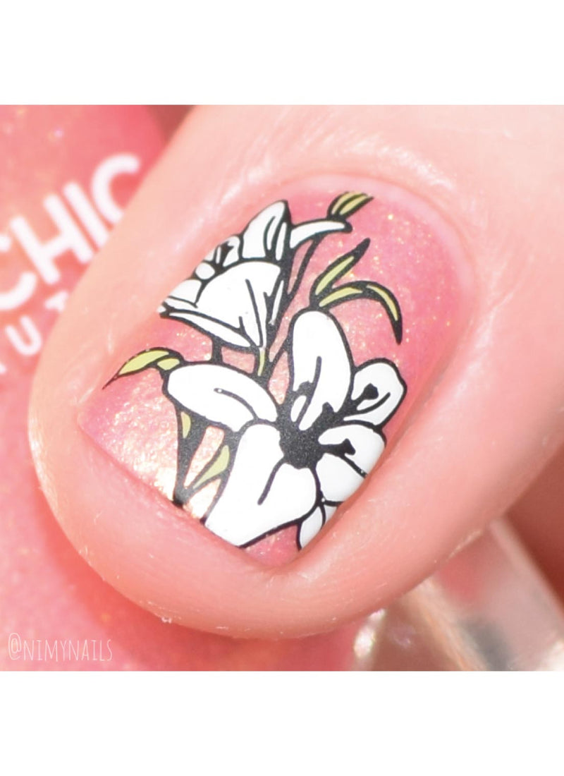 Flora & Fauna - Cordoza Nail Supply