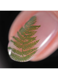 Flora & Fauna - Cordoza Nail Supply