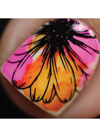 Flora & Fauna - Cordoza Nail Supply