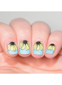 Flora & Fauna - Cordoza Nail Supply