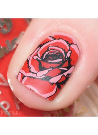 Flora & Fauna - Cordoza Nail Supply