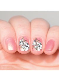 Flora & Fauna - Cordoza Nail Supply